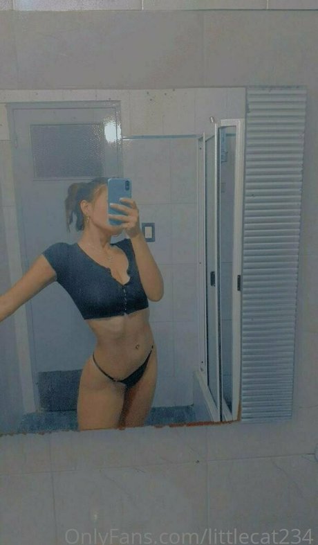 Littlecat234