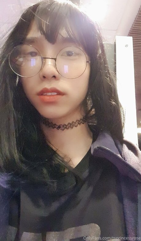 Tsprincessrose
