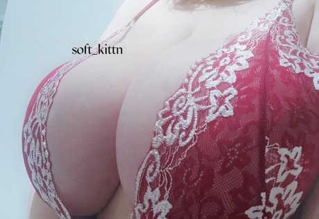 Softkittn