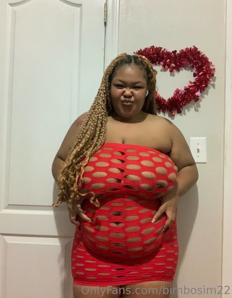 Bimbosim22